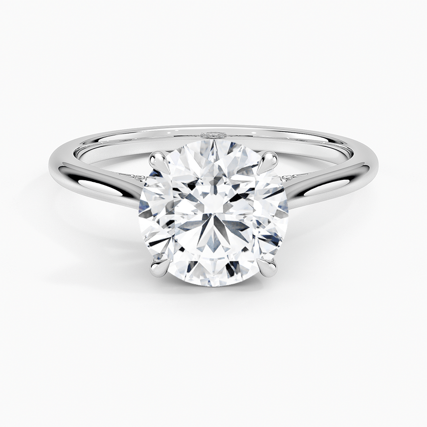 Suggested for You - TAYLOR KOM