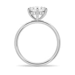 Solitaire Round Hidden Halo Moissanite Bridal Set